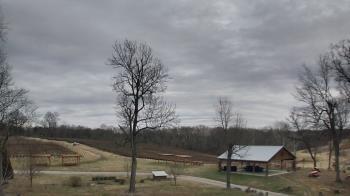 Weather camera view of Dodon Vineyards.
