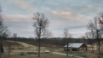 Weather camera view of Dodon Vineyards.