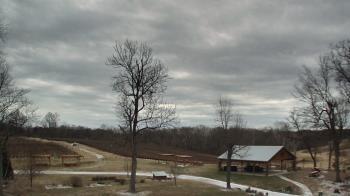 Weather camera view of Dodon Vineyards.