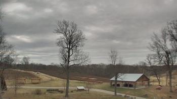 Weather camera view of Dodon Vineyards.