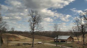Weather camera view of Dodon Vineyards.