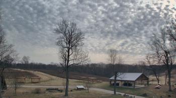 Weather camera view of Dodon Vineyards.