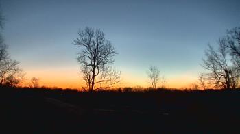 Weather camera view of Dodon Vineyards.