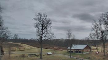 Weather camera view of Dodon Vineyards.