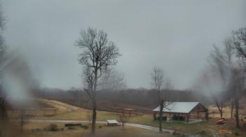 Weather camera view of Dodon Vineyards.