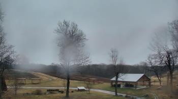 Weather camera view of Dodon Vineyards.