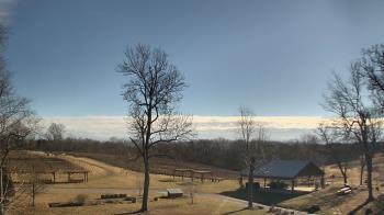 Weather camera view of Dodon Vineyards.