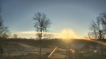 Weather camera view of Dodon Vineyards.