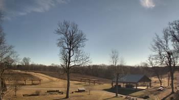Weather camera view of Dodon Vineyards.