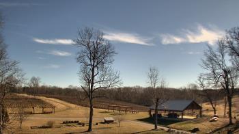 Weather camera view of Dodon Vineyards.