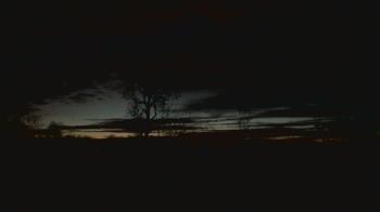 Weather camera view of Dodon Vineyards.