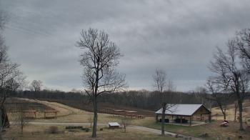 Weather camera view of Dodon Vineyards.