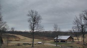 Weather camera view of Dodon Vineyards.