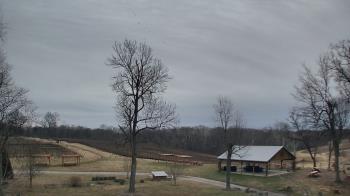 Weather camera view of Dodon Vineyards.