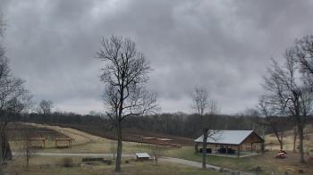 Weather camera view of Dodon Vineyards.