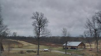 Weather camera view of Dodon Vineyards.