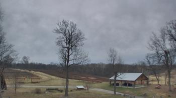 Weather camera view of Dodon Vineyards.