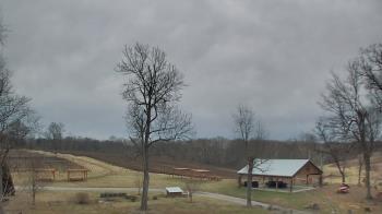 Weather camera view of Dodon Vineyards.