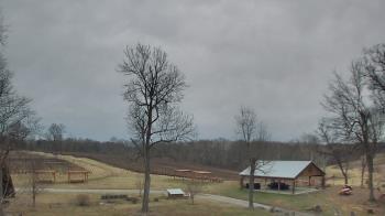 Weather camera view of Dodon Vineyards.