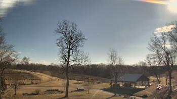 Weather camera view of Dodon Vineyards.