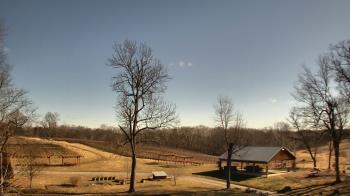 Weather camera view of Dodon Vineyards.