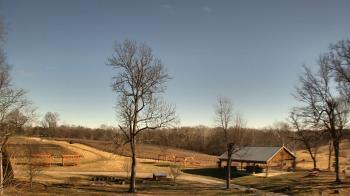 Weather camera view of Dodon Vineyards.