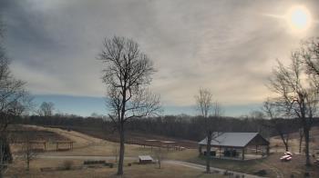 Weather camera view of Dodon Vineyards.