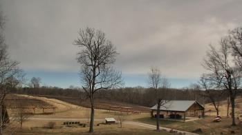 Weather camera view of Dodon Vineyards.