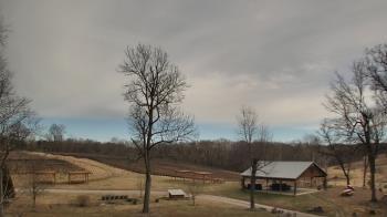 Weather camera view of Dodon Vineyards.