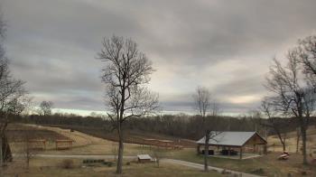 Weather camera view of Dodon Vineyards.