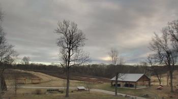 Weather camera view of Dodon Vineyards.