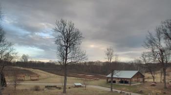 Weather camera view of Dodon Vineyards.