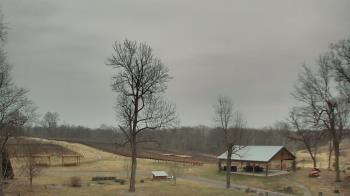 Weather camera view of Dodon Vineyards.