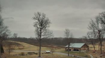 Weather camera view of Dodon Vineyards.