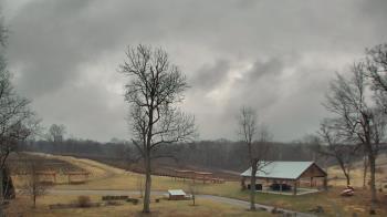 Weather camera view of Dodon Vineyards.