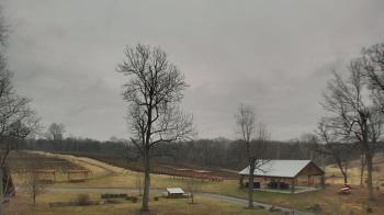 Weather camera view of Dodon Vineyards.