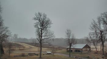 Weather camera view of Dodon Vineyards.