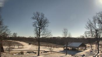 Weather camera view of Dodon Vineyards.