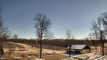 Weather camera view of Dodon Vineyards.