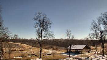 Weather camera view of Dodon Vineyards.