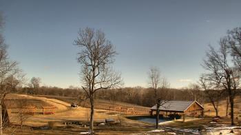 Weather camera view of Dodon Vineyards.