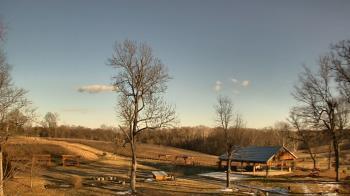 Weather camera view of Dodon Vineyards.