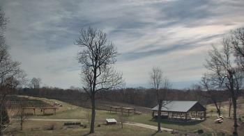 Weather camera view of Dodon Vineyards.