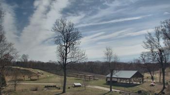 Weather camera view of Dodon Vineyards.