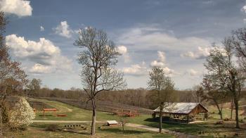 Weather camera view of Dodon Vineyards.