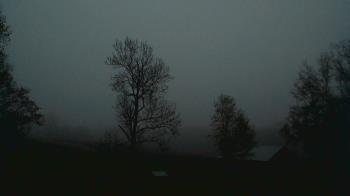 Weather camera view of Dodon Vineyards.