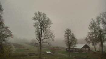 Weather camera view of Dodon Vineyards.