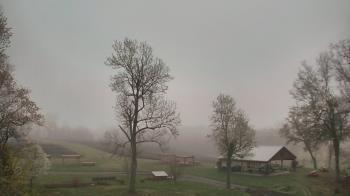 Weather camera view of Dodon Vineyards.