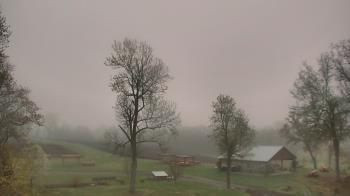 Weather camera view of Dodon Vineyards.