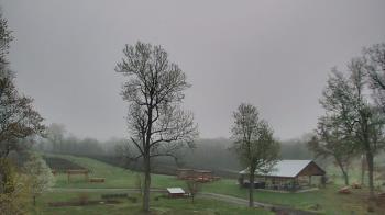 Weather camera view of Dodon Vineyards.